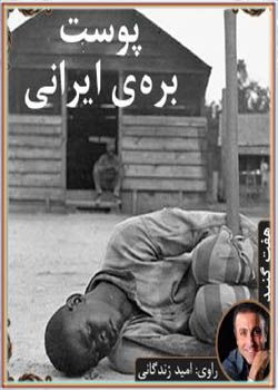 کتاب صوتی پوست بره ی ایرانی