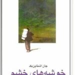 خوشه های خشم