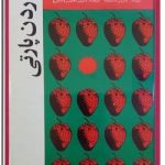 گاردن پارتی