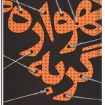 گهواره گربه