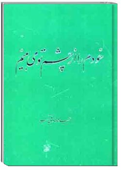 خودم را از چشم تو میبینم