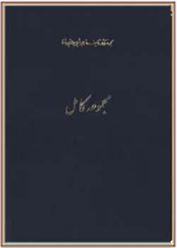 مجموعه کامل آثار شجاع الدین شفا (جلد اول): کمدی الهی 1