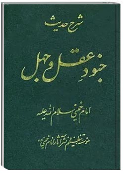 شرح جنود عقل و جهل