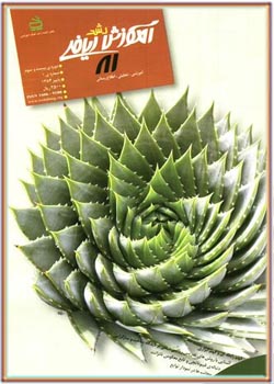 مجله رشد آموزش ریاضی - شماره ۸۱. پاییز ۱۳۸۴