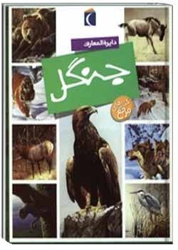 دایرة المعارف جنگل