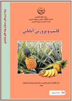 کاشت و پرورش آناناس