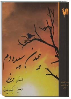 چیدن سپیده دم