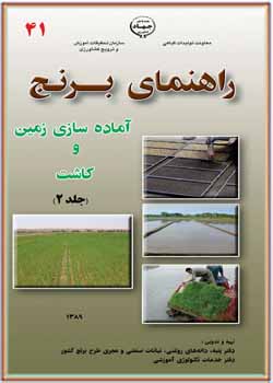 آماده سازی زمین و کاشت برنج 2