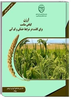 ارزن گیاهی مناسب برای کاشت در خشکی و کم آبی