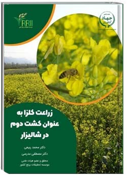 زراعت کلزا به عنوان کشت دوم در شالیزار