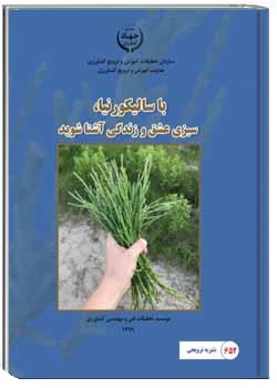 با سالیکورنیا، سبزی عشق و زندگی آشنا شوید