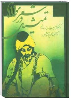 تمثیل در شعر مولانا و گفتگویی پیرامون هنر