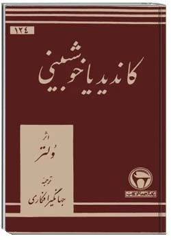 کاندید یا خوشبینی