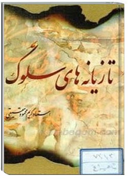 تازیانه های سلوک 1