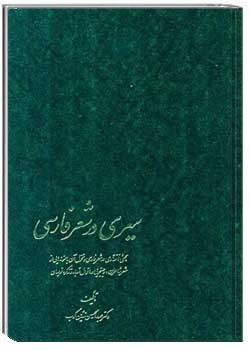 سیری در شعر فارسی