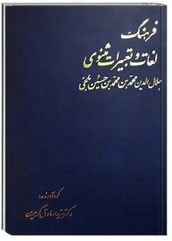فرهنگ لغات و تعبیرات مثنوی
