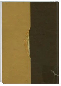 پندار گسترش پذیری بی پایان حقیقت - جلد ۱: نگرش ذهنی جهان