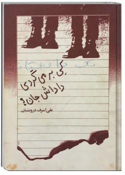 کی برمی گردی داداش جان؟