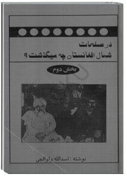 در صفحات شمال افغانستان، چه می گذشت؟ - 2