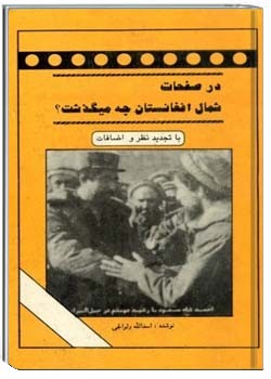 در صفحات شمال افغانستان، چه می گذشت؟