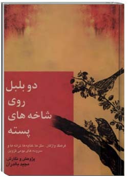 دو بلبل روی شاخه های پسته