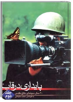 پایداری در قاب