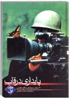 پایداری در قاب