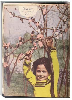 اطلاعات ماهیانه - شماره 73 سال 1332