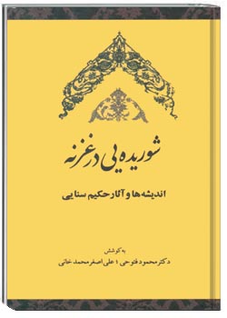 شوریده‌یی در غزنه