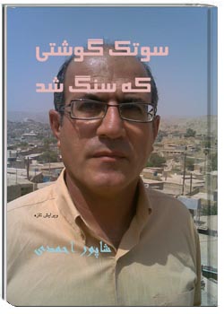 سوتک گوشتی که سنگ شد