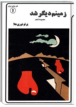 زمینم دیگر شد